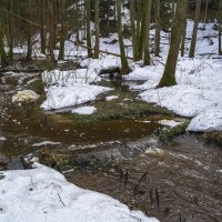 Апрельский ручей звонче мартовского :: Сергей Цветков Апрельский ручей звонче мартовского :: Сергей Цветков