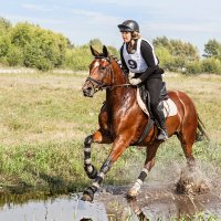 Кросс :: SanSan 