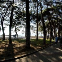 Геленджик... набережная... :: Николай Саржанов Геленджик... набережная... :: Николай Саржанов