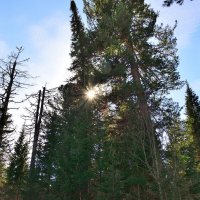 - :: Владимир Мигонькин