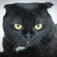 _ :: Тамара Федорова