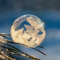 Игрушка :: Андрей Пристяжнюк