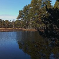 Апрель .. :: Татьян@ Ивановна