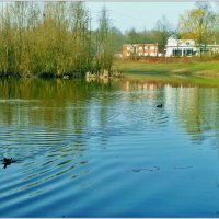 У ОЗЕРА... :: Elvira E. 