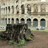 Пень и Колизей. Что старше? :: Сергей Сомихин