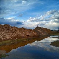 Живописная лужа :: Crazy Bee