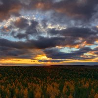 Вечернее небо :: Vladimbormotov 