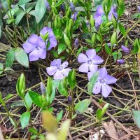 ,,, :: Сергей Тимоновский