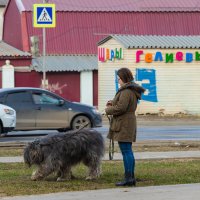 Девушка с собакой :: Александр Синдерёв