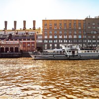 Чижик :: Александр 