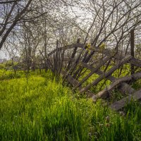 Забор притомился... :: Игорь Протасов