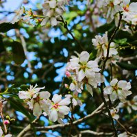 Природа 2026 :: Владислав Воровский 