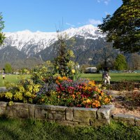 ** :: Александр Липовецкий