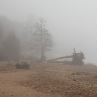 * :: Светлана Воробьева