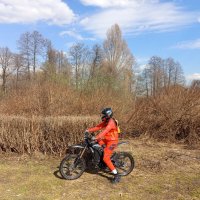 Эффект не только красного пальто :: Андрей Лукьянов