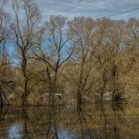 Весна. :: Николай 