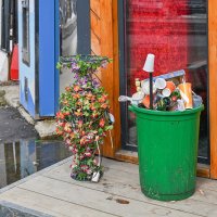 Декор  цветочный и мусорный :: Валерий Иванович