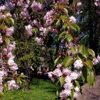 Весна пришла :: Роман Савоцкий Весна пришла :: Роман Савоцкий