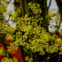 (°-°) :: Jakob Dick (°-°) :: Jakob Dick