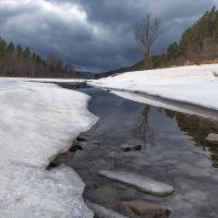 Весенние проталины :: Марина Фомина.