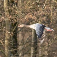 -- :: vladimir -- :: vladimir