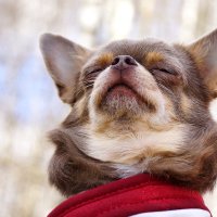 Ксю :: kolyeretka 