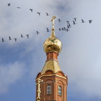 Весенние зарисовки ... :: Ravile 