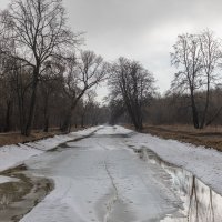 Князево :: Татьяна Гузева