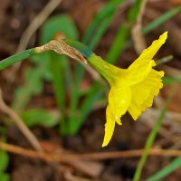 В поклоне :: Светлана В поклоне :: Светлана