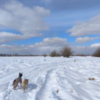 Весенние прогулки :: Anna Ivanova Весенние прогулки :: Anna Ivanova