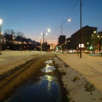 Морозный неон :: Not Lion Морозный неон :: Not Lion