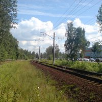 В сторону Лахты :: Not Lion