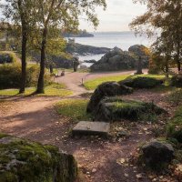 Пейзаж лесной :: СЕРГЕЙ ФИЛОЧКИН