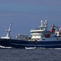 Красавица :: В.И 