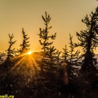 ЗАКАТЫ В ТАЙГЕ :: HART BAD