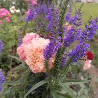 ,,, :: Сергей Тимоновский