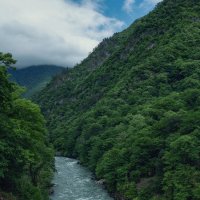 Абхазия :: Лилия .