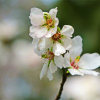 Природа 2026 :: Владислав Воровский 