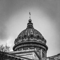 217 :: Анастасия Верушкина