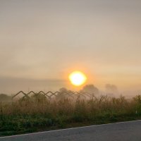 220 :: Анастасия Верушкина