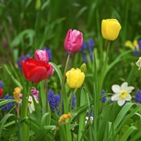 4146 :: Alex . 4146 :: Alex .