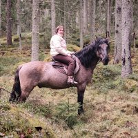 Прогулка в лесу. :: Ольга 