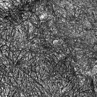 Инверт негатив прошлогодней травы :: Валерий Иванович