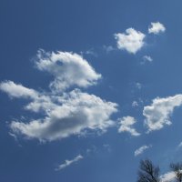 Глазастик :: Людмила Смородинская Глазастик :: Людмила Смородинская