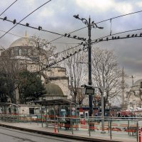 По улицам Стамбула :: skijumper Иванов