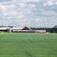 Ферма Реллинге (Rällinge) :: Александр Ильчевский 