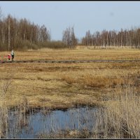 К морю через плавни :: Aleksandr Gal