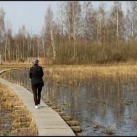 *** :: Aleksandr Gal *** :: Aleksandr Gal