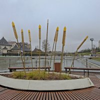 Стрела для лягушки или год хлебород? :: ИРЭН@ .