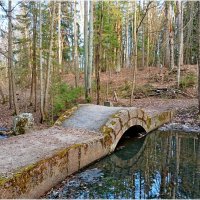 В нашем заповедном лесу. :: Лия ☼